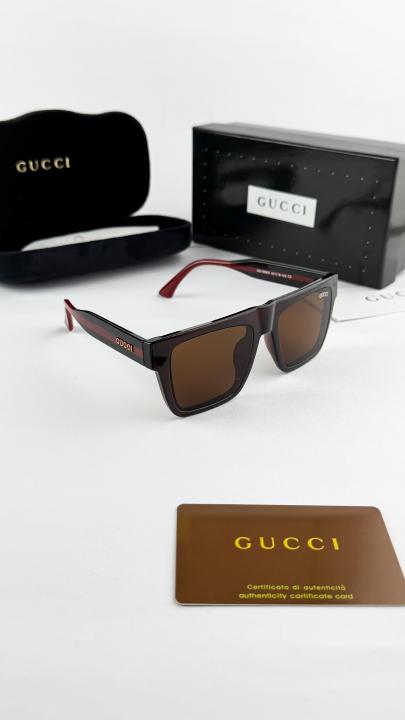 Gucc_i brown 1868