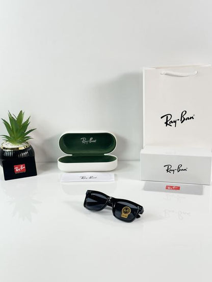 Rayban Reverse 0502 Shine Black