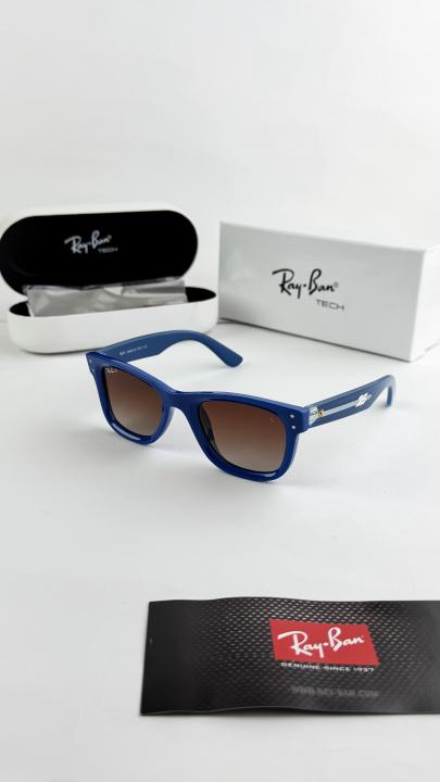 Raybann_blue brown 0502