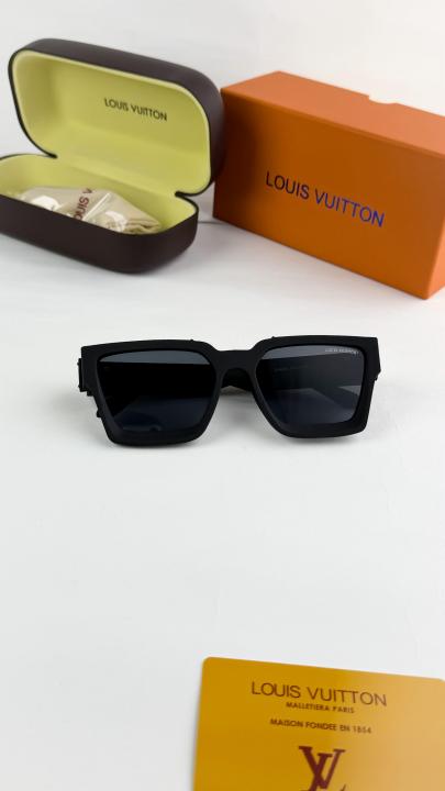 Loui_s vuitton black 65N